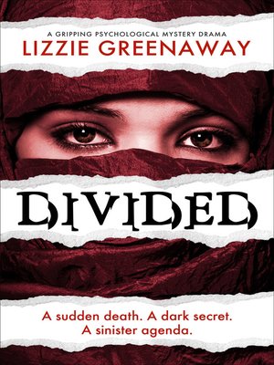 cover image of Divided